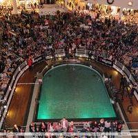 Steps' performs live at the Trafford centre in Manchester | Picture 111520